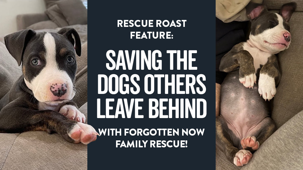Rescue Roast Feature: Forgotten Now Family Rescue!
