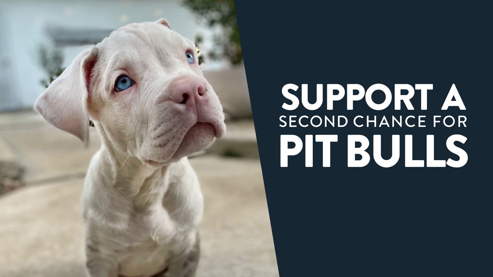 Mens Pit Bull T-shirt American Pitbull Standing Proud Rescue Dog