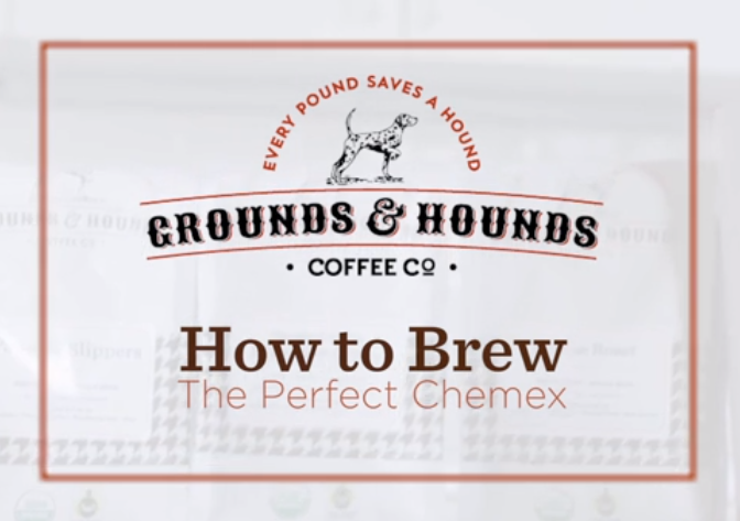 CHEMEX®Three Cup Pour Over with Filters - Grounds & Hounds Coffee Co.