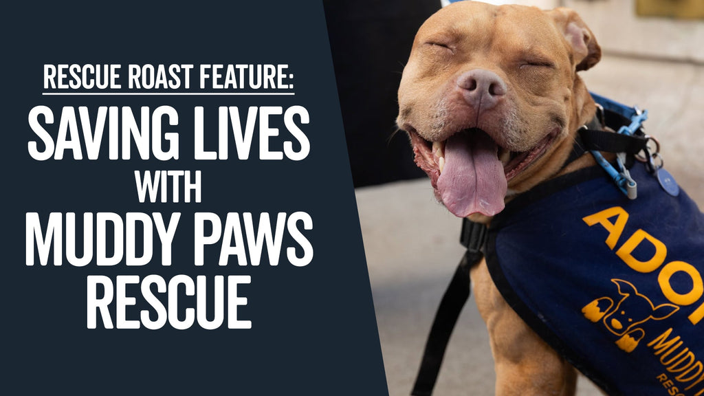 Rescue Roast Feature: Muddy Paws Rescue