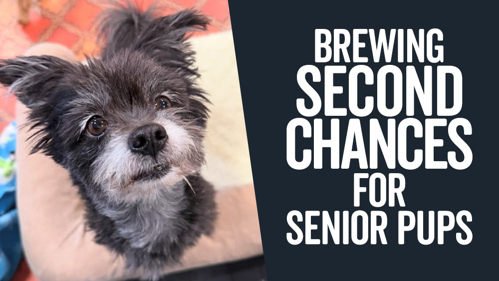 Rescue Roast Feature: Vintage Pet Rescue