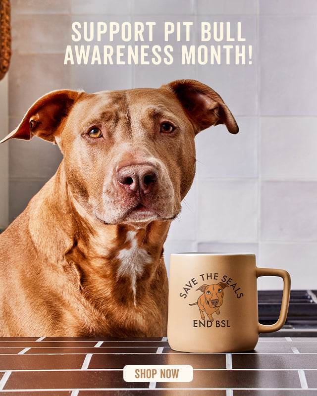 La Rad Pits - Pittie love and Awareness