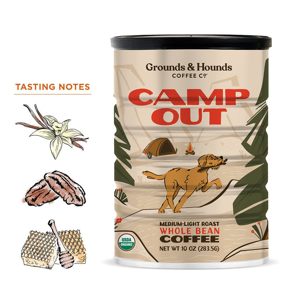 Camp Out Summer Roast