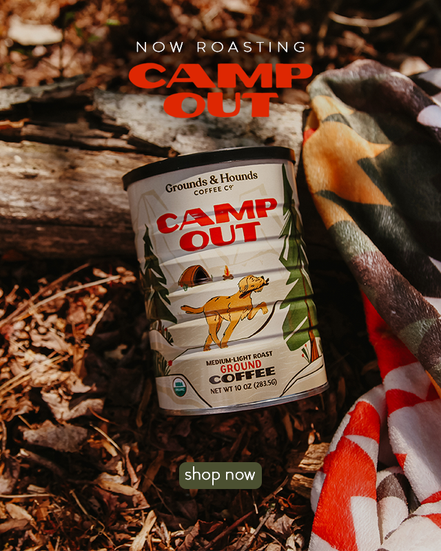 How Often Does Camping Happen in Adopt Me