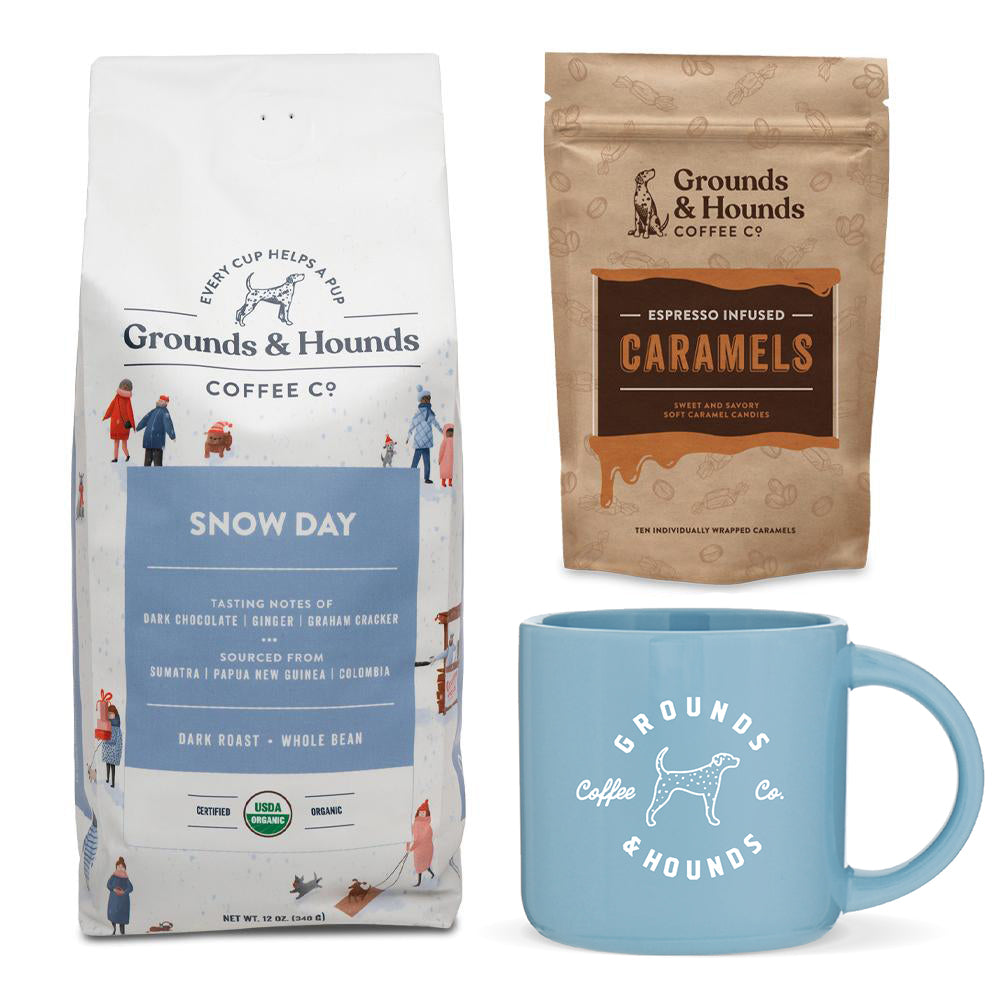 Snow Day Survival Kit