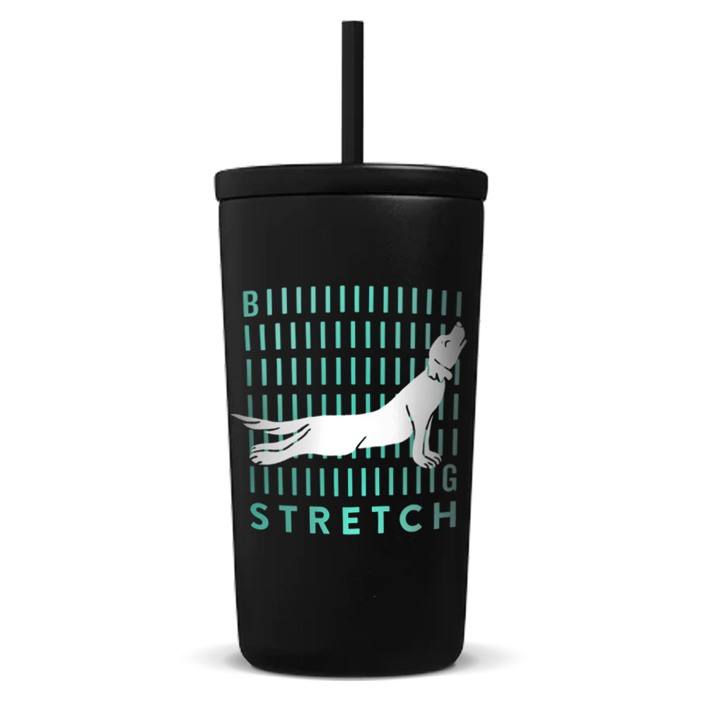 Big Stretch Travel Tumbler with Straw