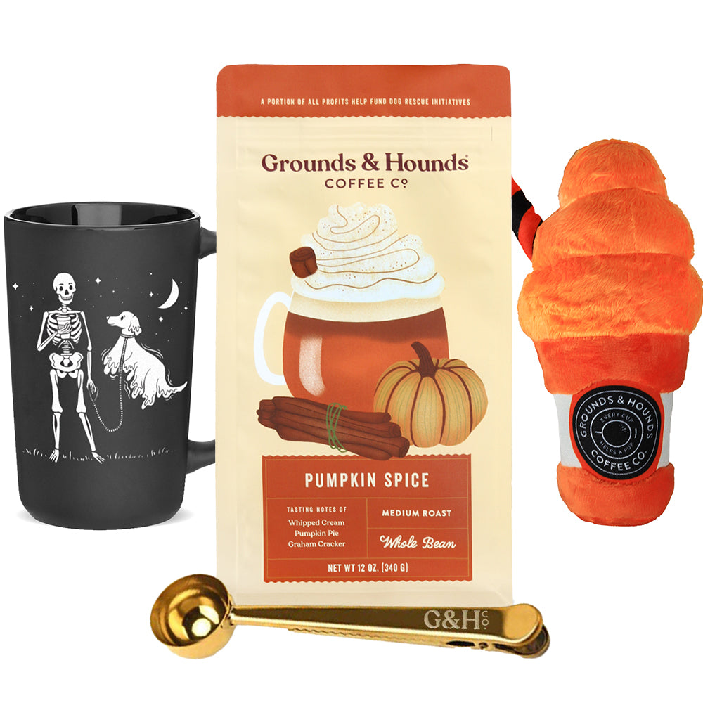 Pumpkin Spice Essentials Bundle